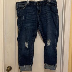 True Craft mid-rise skinny ankle size 20w